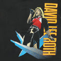 1988 David Lee Roth Skyscraper Tour Shirt