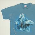 1998 Stevie Nicks Enchanted Tour Shirt