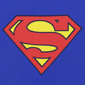 2000 Superman DC Comics Shirt