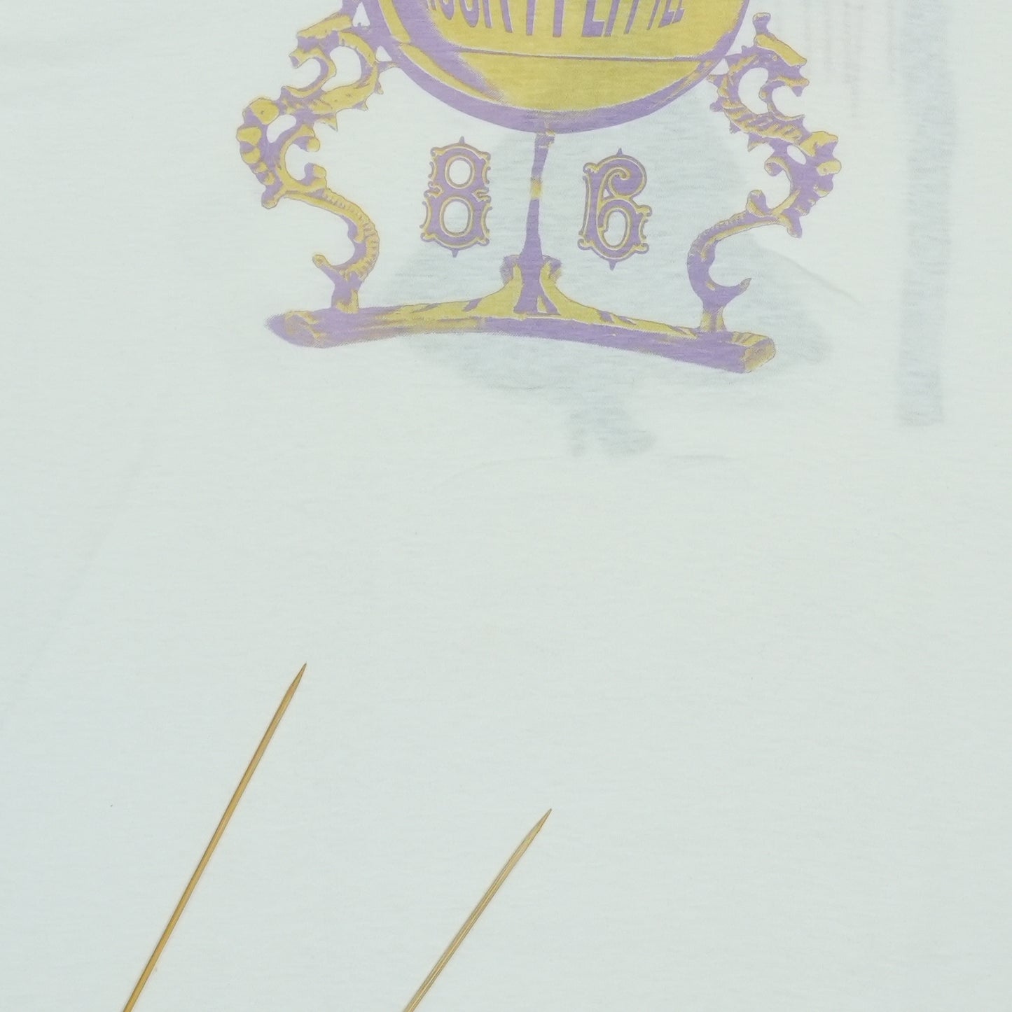 1986 Stevie Nicks Rock A Little Tour Shirt