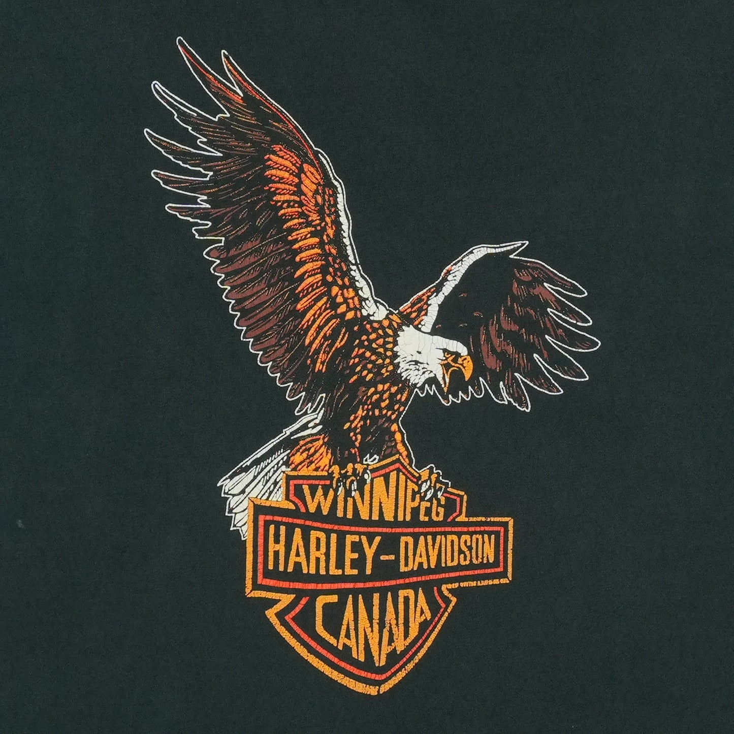 1990s Harley Davidson Winnipeg Canada Shirt