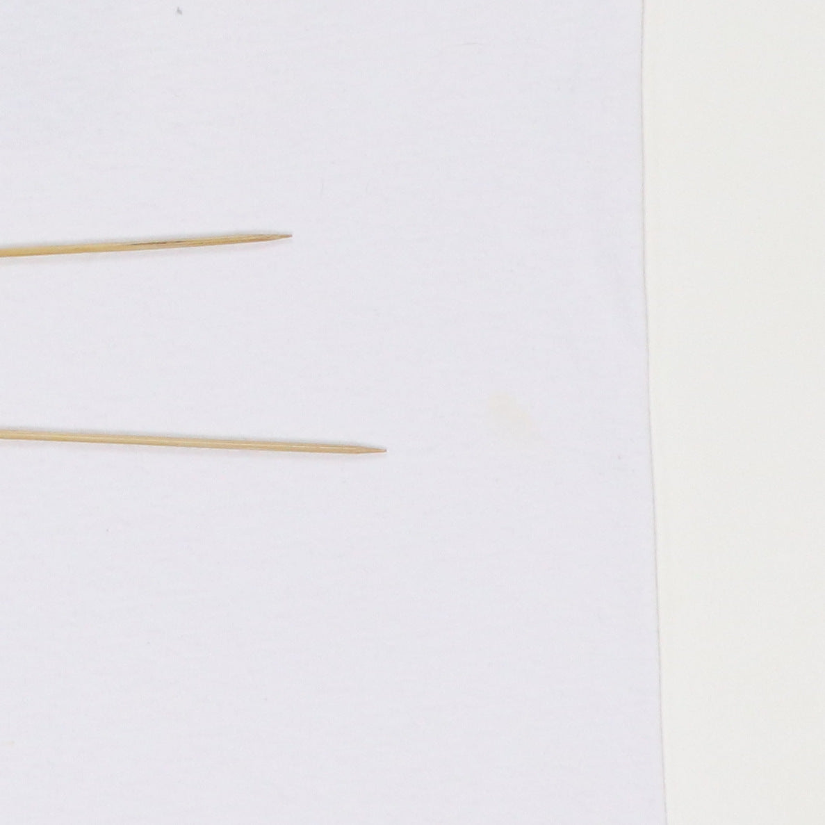 1991 Butthole Surfers piouhgd Shirt