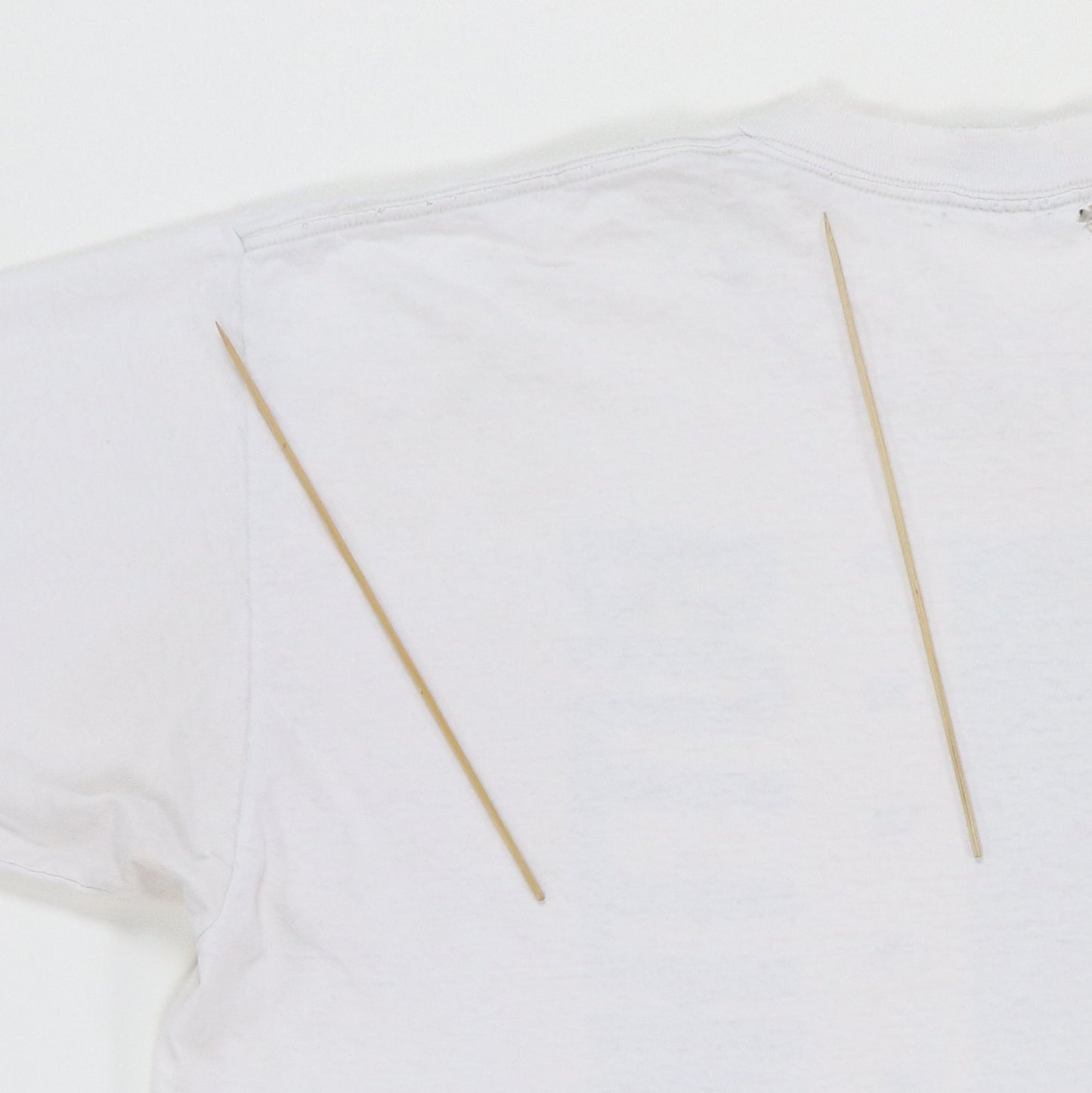 1990s Butthole Surfers Rembrandt Pussyhorse Shirt