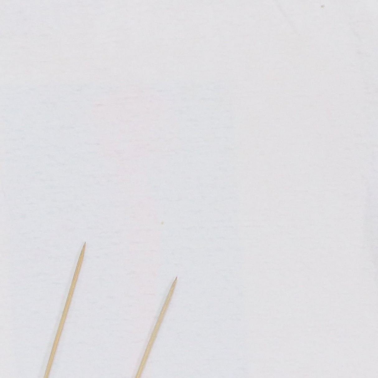 1990s Butthole Surfers Rembrandt Pussyhorse Shirt