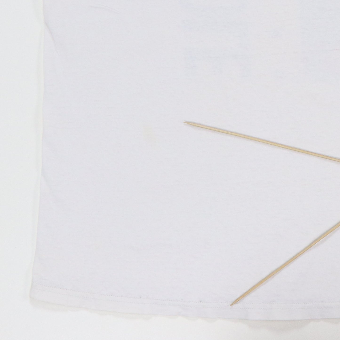 1990s Butthole Surfers Rembrandt Pussyhorse Shirt