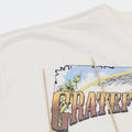 1994 Grateful Dead Fall Tour Shirt