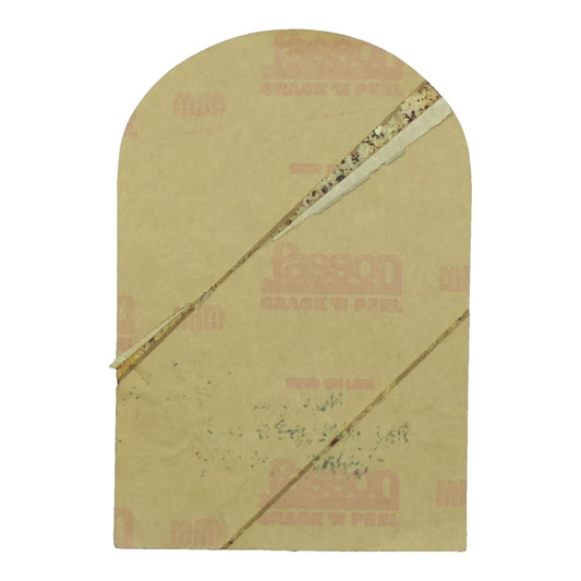 1970s Allman Brothers Band Electric Factory Concerts Stage Pass back