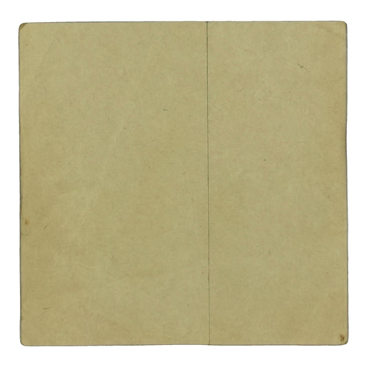 1970s Foghat Star Date Backstage Pass back