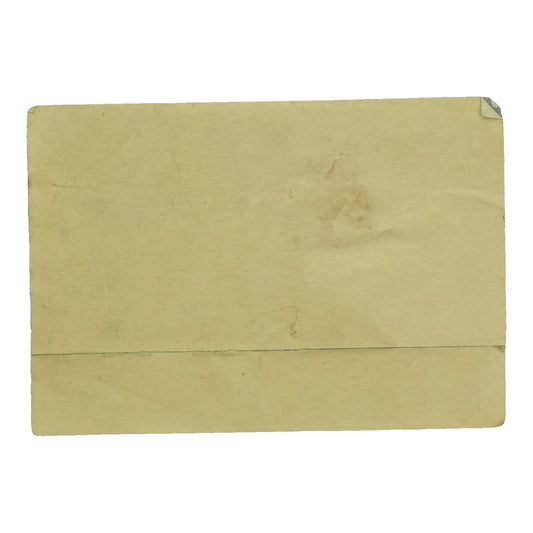 1975 Foghat Windy City Backstage Pass back