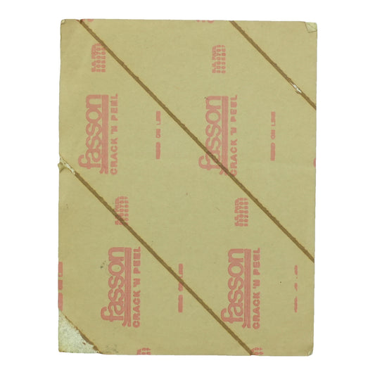 1977 Iggy Pop Santa Monica Civic Backstage Pass back