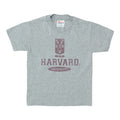 1980s Harvard University Shirt