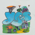 1987 Yes Shirt Detail 1