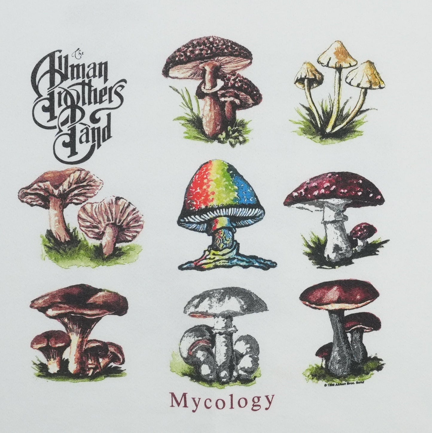 1990s Allman Brothers Band Mycology Shirt Detail 2