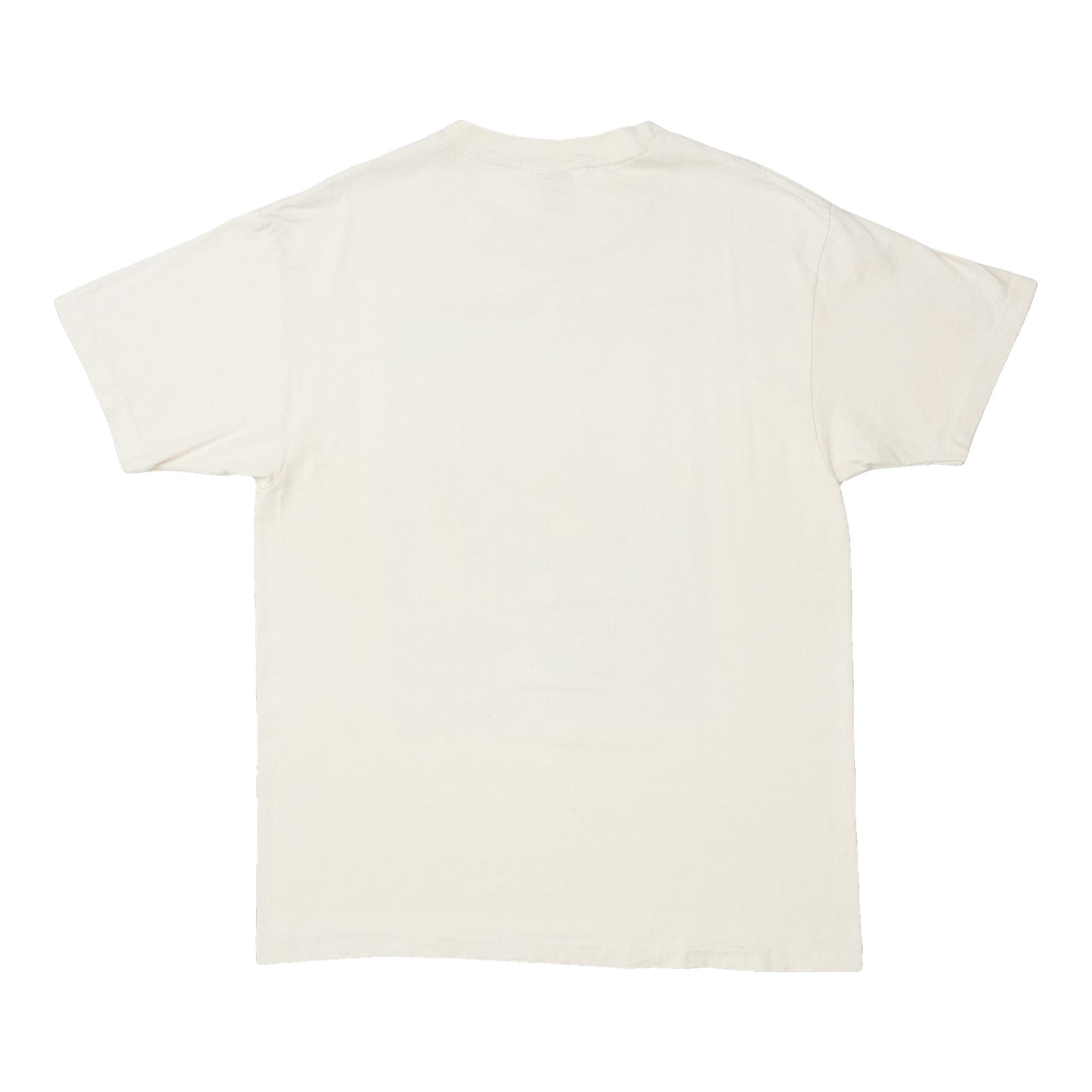 1990s Eagle Celebrate The Earth And Sky Shirt