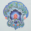 1990s Grateful Dead Summer Tour Shirt