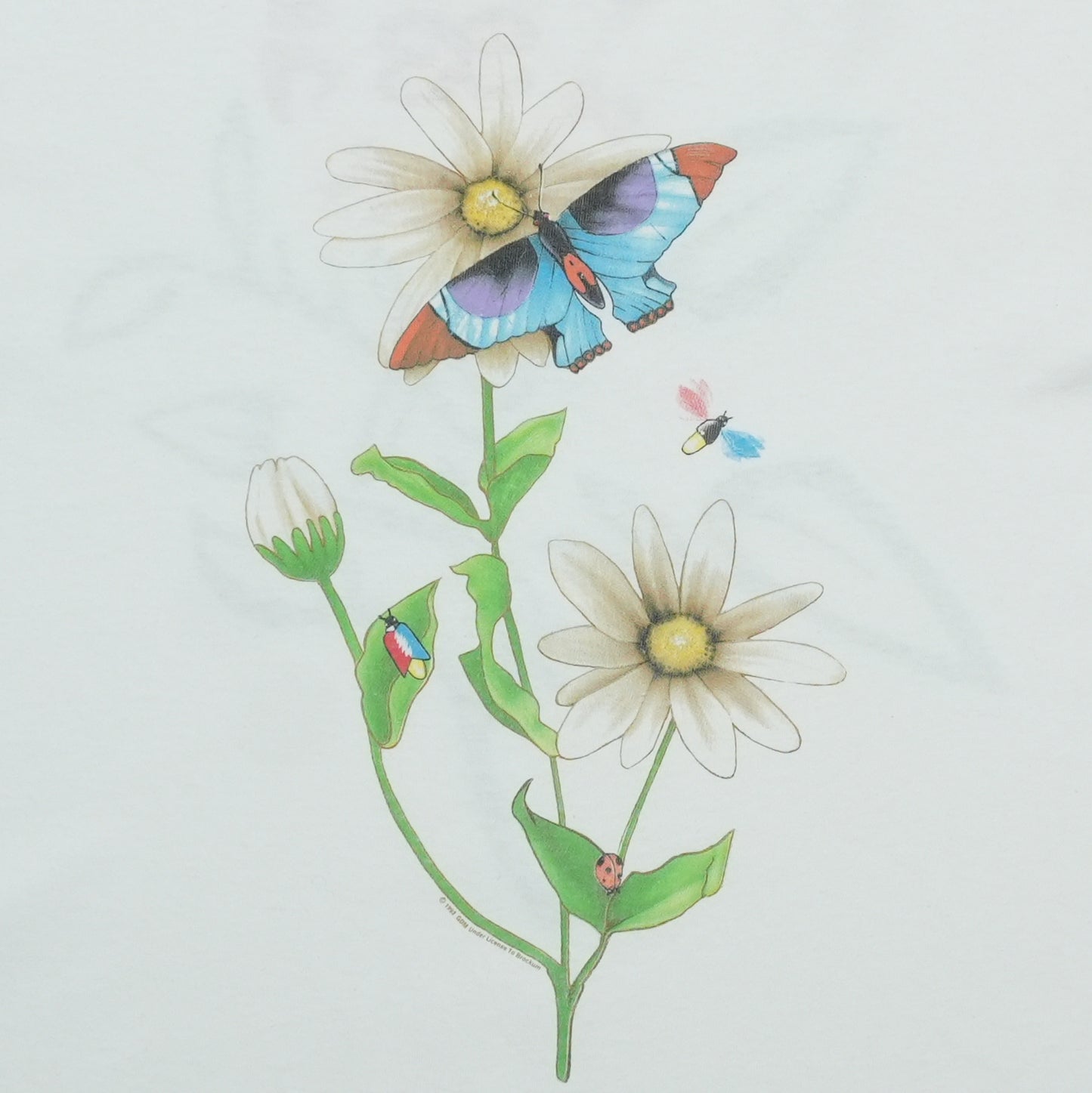 1993 Grateful Dead Tour Shirt Detail 2