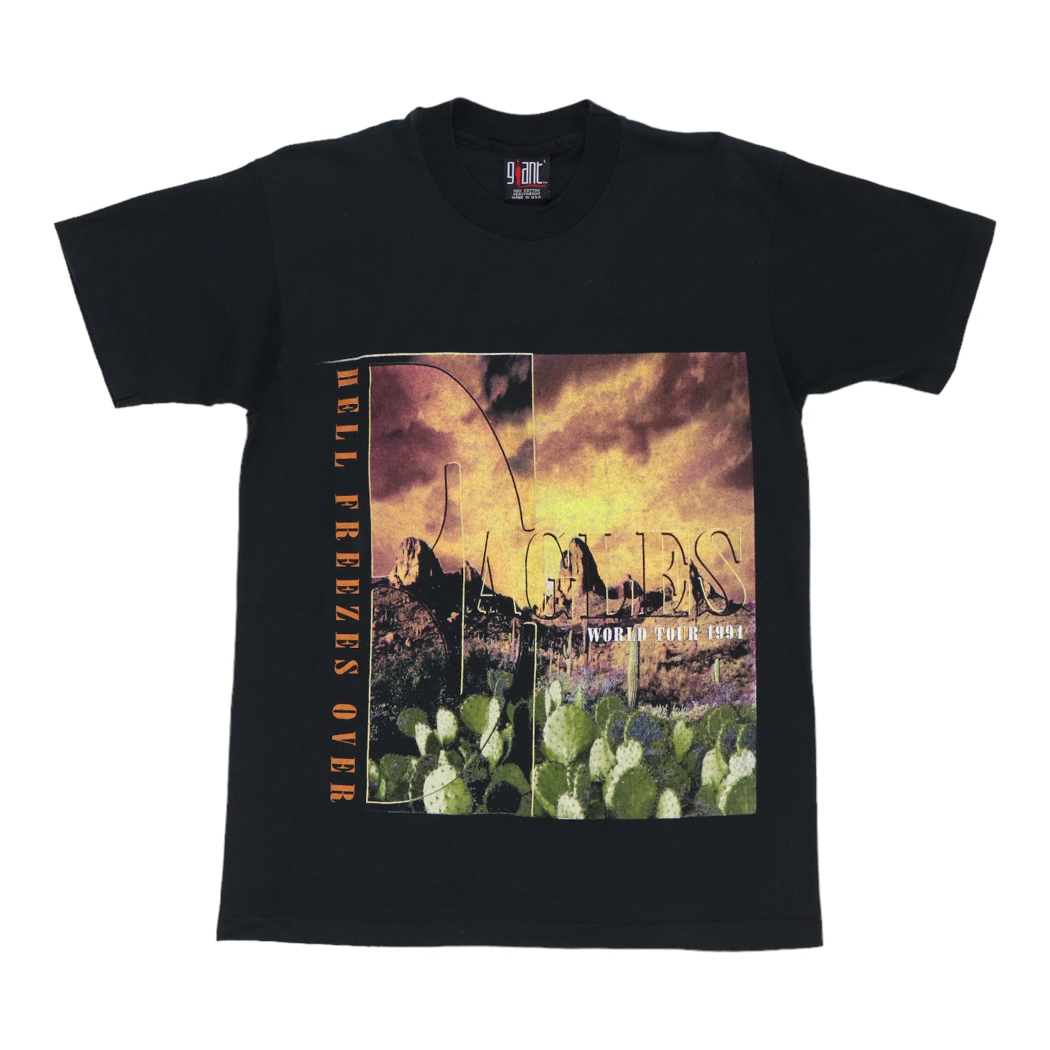 EAGLES Tシャツ ワールドツアー1994 ヴィンテージ　パンフレット 1994 Eagles Hell Freezes over World Tour Shirt | Authentic Vintage