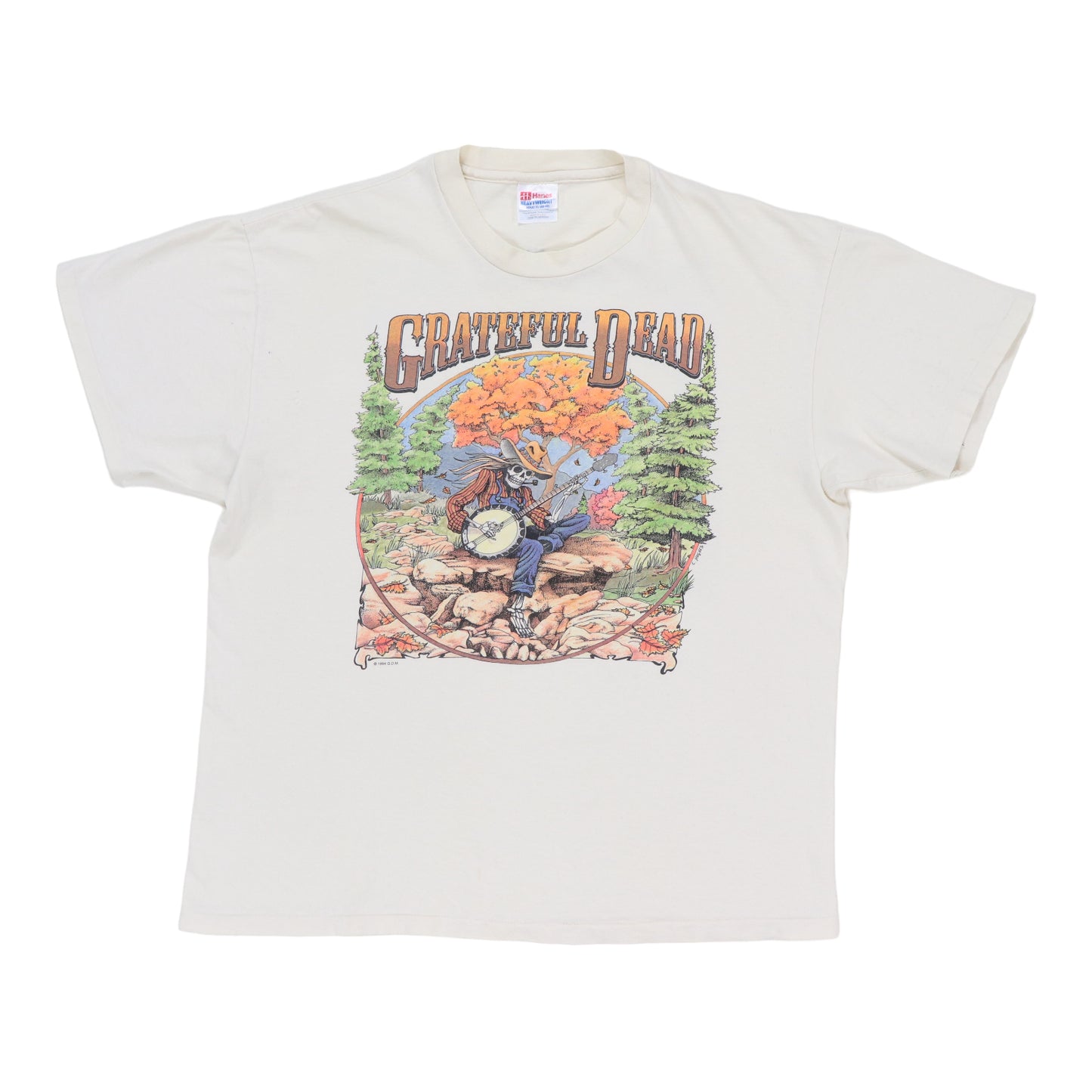 1994 Grateful Dead Fall Tour Shirt