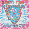 1995 Grateful Dead Summer Tour Tie Dye Shirt