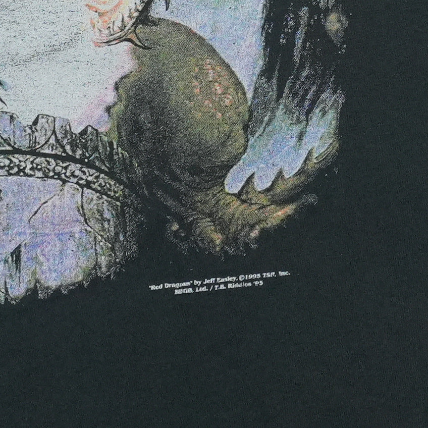 1995 Red Dragons TSR Shirt Detail 4