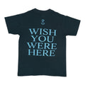 1996 Pink Floyd Wish You Were Here Shirt