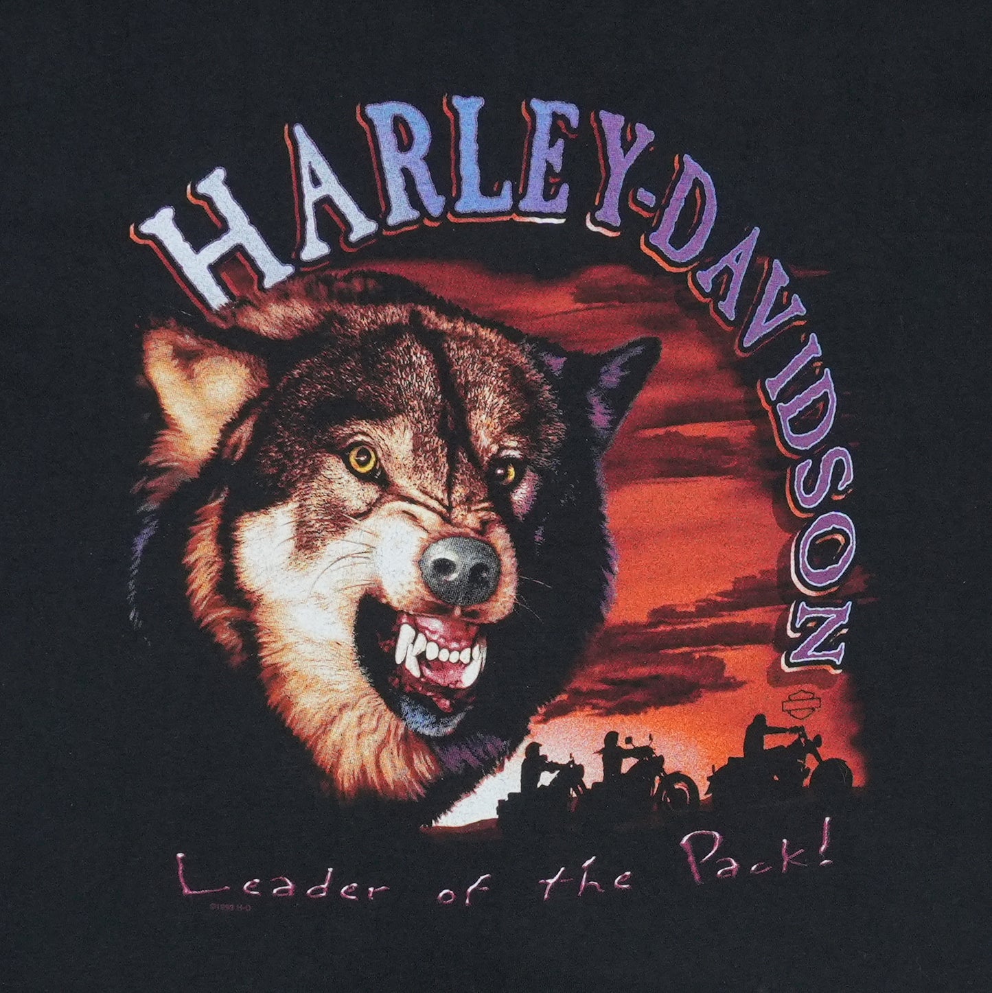 1999 Harley Davidson Leader Of The Pack Shirt