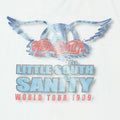 1999 Aerosmith Little South of Sanity World Tour Shirt