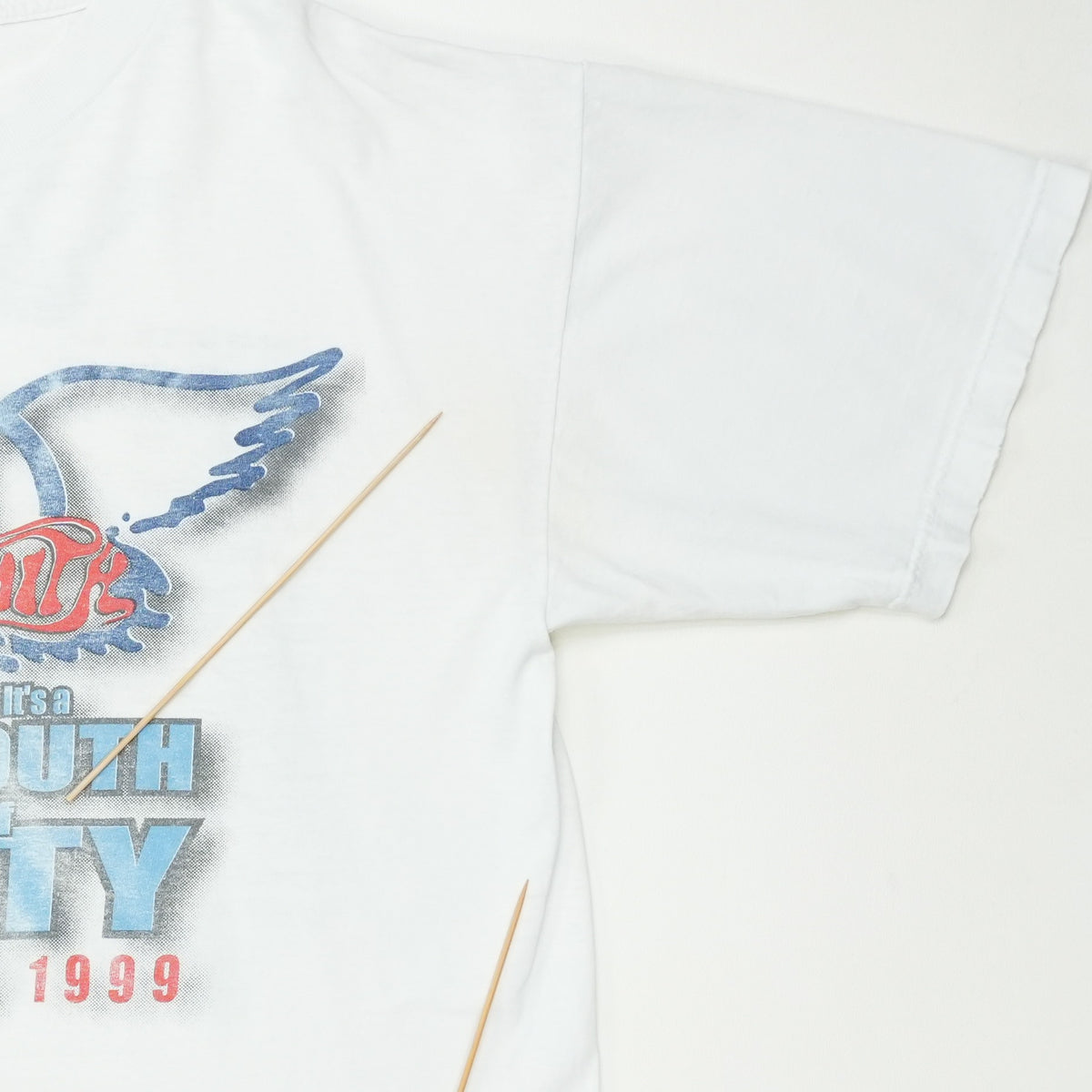 1999 Aerosmith Little South of Sanity World Tour Shirt