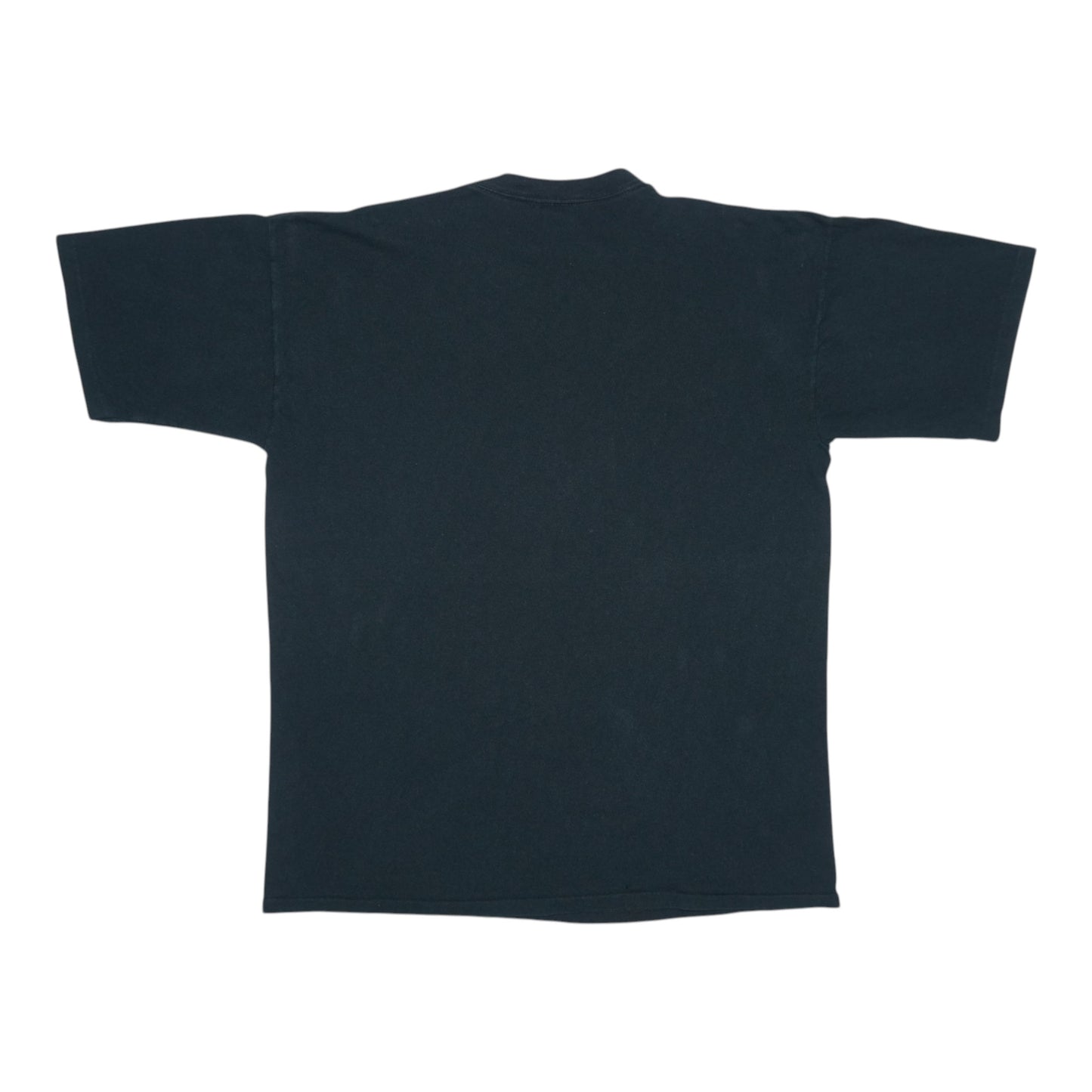 2000 Roger Waters In The Flesh Shirt