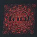 2000s Tool Aenima Shirt