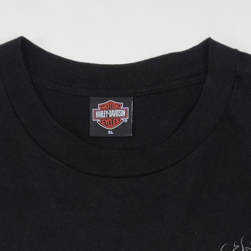 2001 Harley Davidson Missoula Montana Bison Shirt