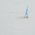 2002 Nine Inch Nails And All That Could Have Been Shirt