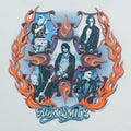 2003 Aerosmith Tour Shirt Detail 2