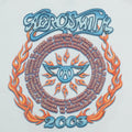 2003 Aerosmith Tour Shirt Detail 4