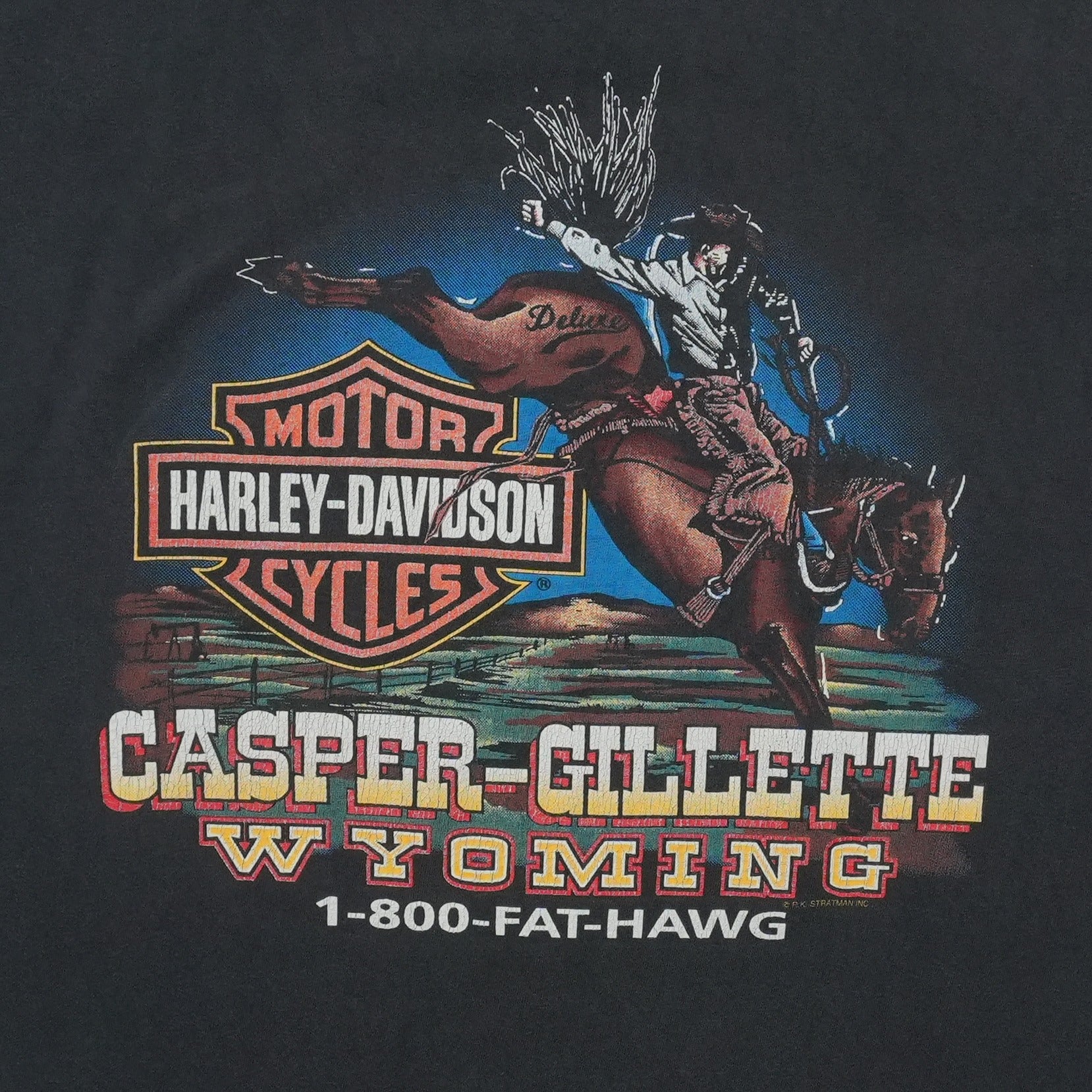 1990s Harley Davidson 800-FAT-HAWG World Class Shirt | WyCo Vintage