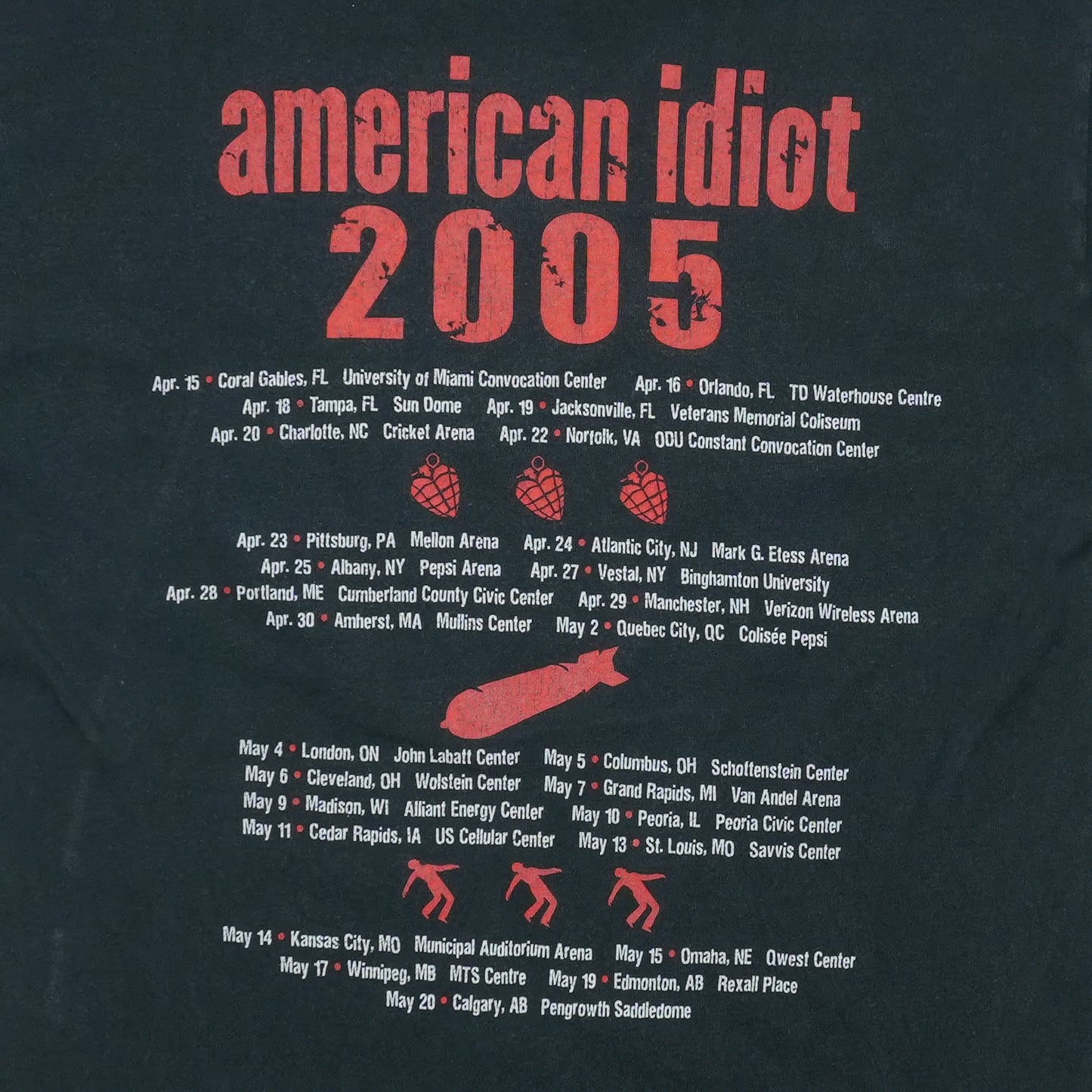 2005 Green Day American Idiot Tour Shirt Back Graphic