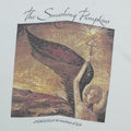 2000 Smashing Pumpkins Sacred and Profane Tour Shirt Front Detail 1