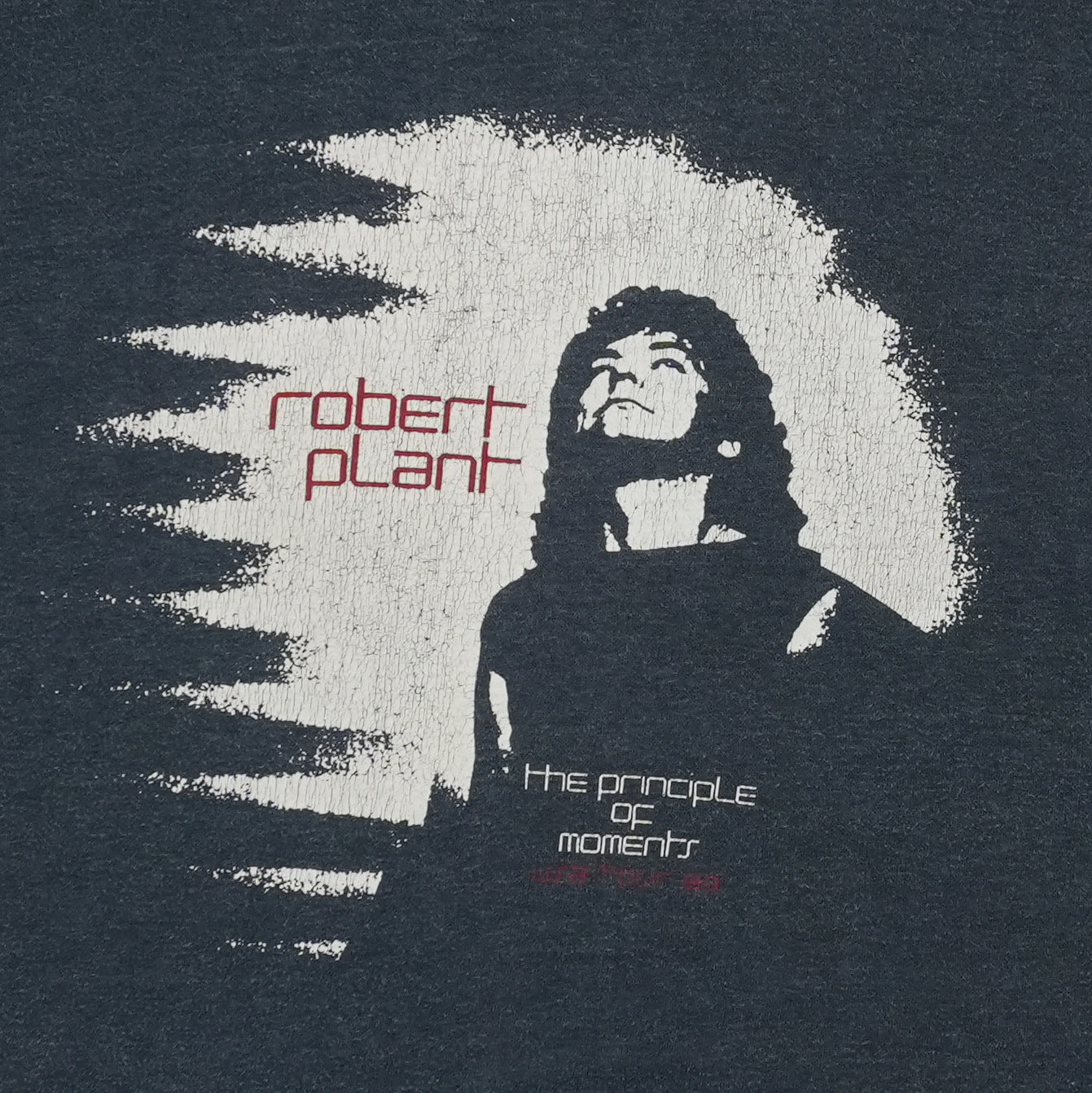 1983 Robert Plant The Principle of Moments Tour Shirt Detail 2