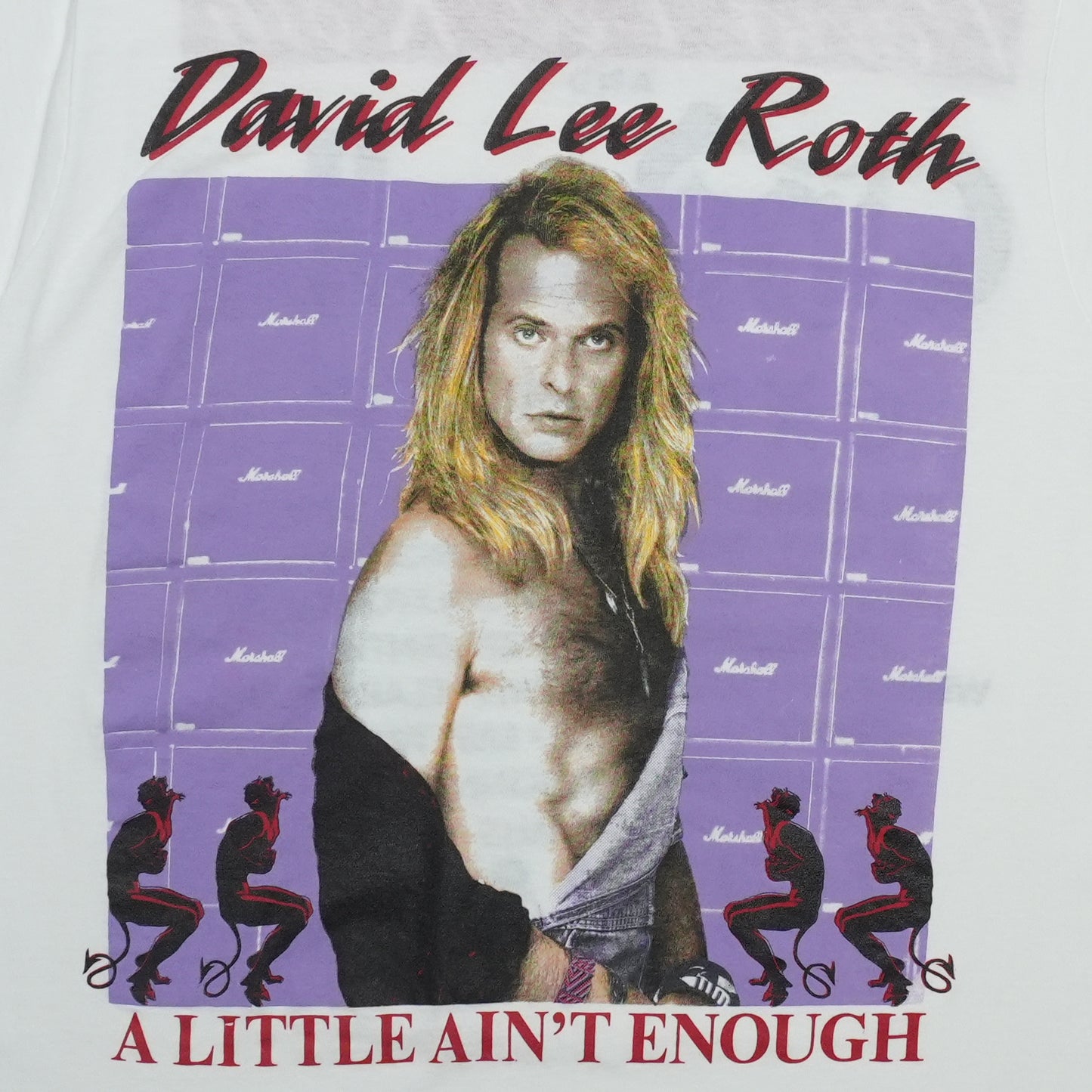 1991 David Lee Roth A Little Aint Enough Tour Shirt Front Detail 1