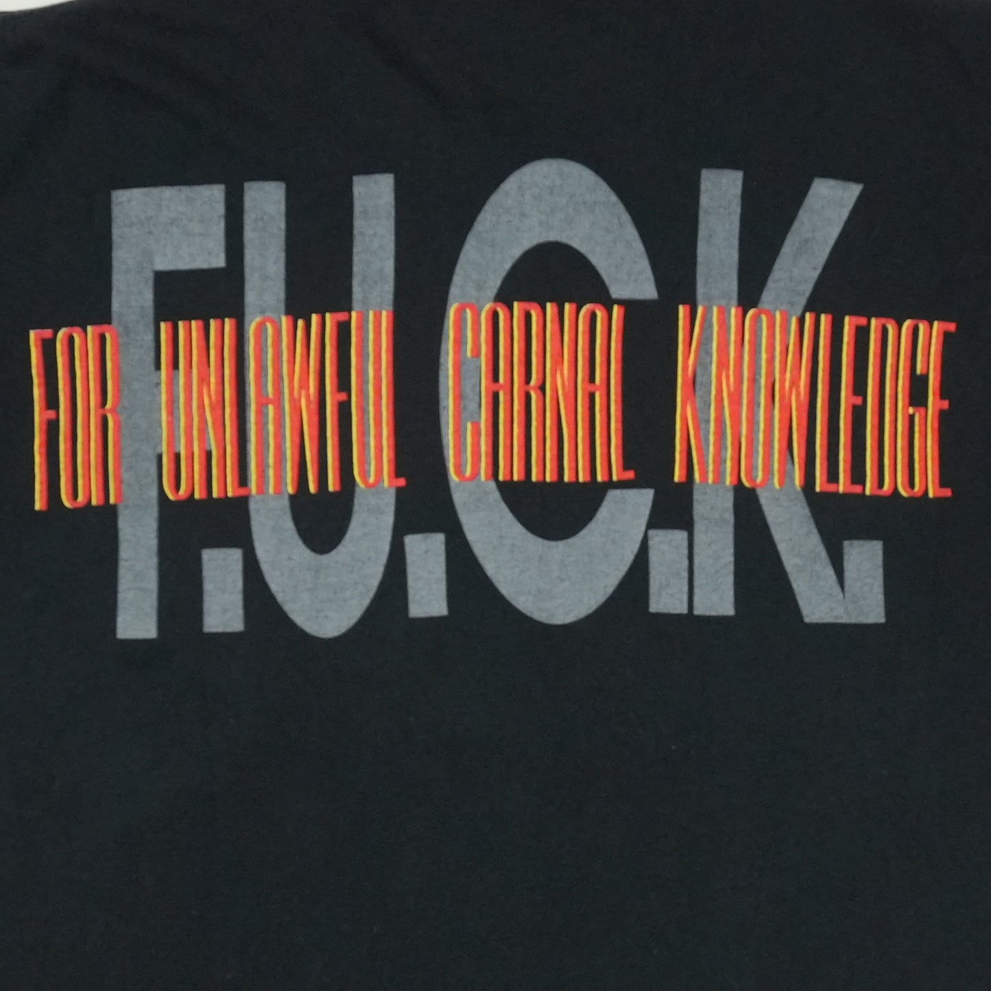 1991 Van Halen For Unlawful Carnal Knowledge Shirt Detail 4