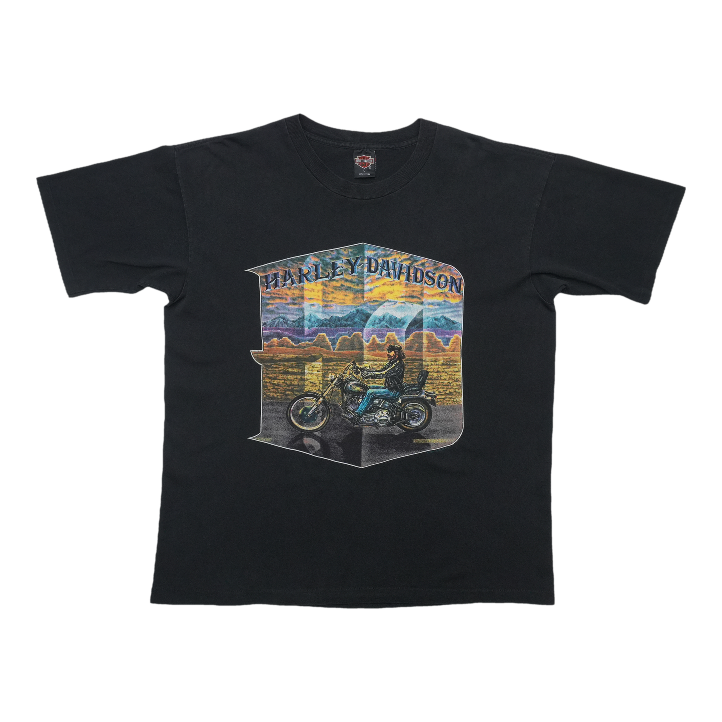 1994 Harley Davidson Rider Mountain Landscape ShirtFront