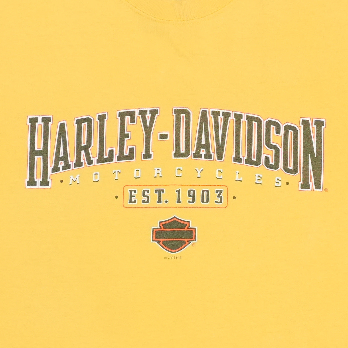 2005 Harley Davidson Georgia Shirt