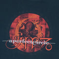 2000 A Perfect Circle Shirt Red