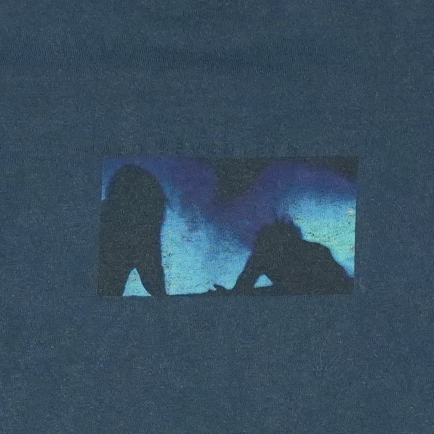 1999 Nine Inch Nails Fragile Shirt Detail
