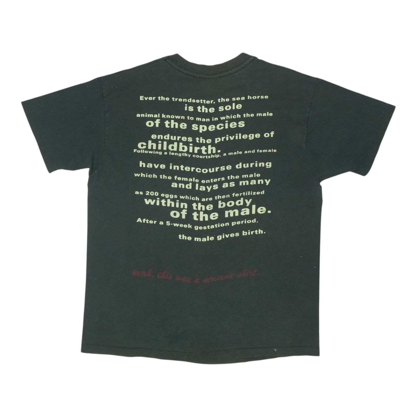 1993 Nirvana Seahorse Shirt Back