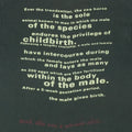 1993 Nirvana Seahorse Shirt Detail