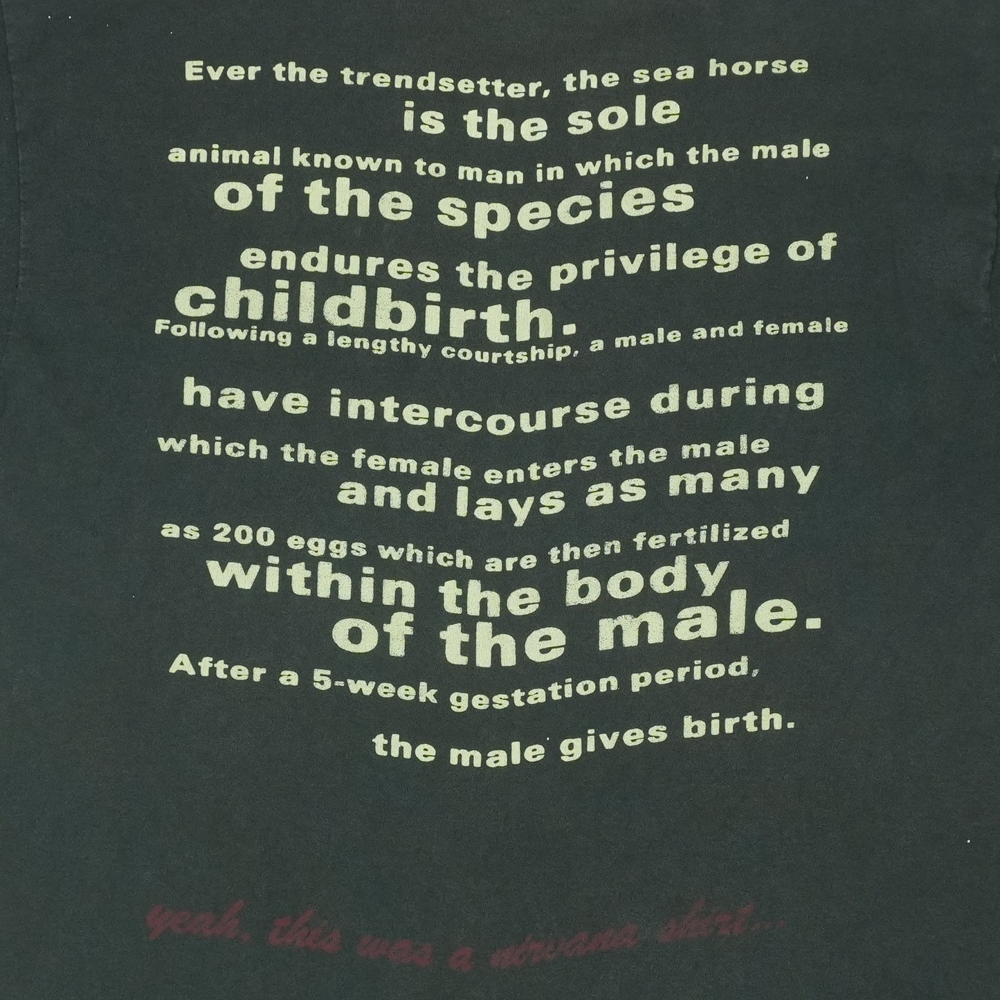 1993 Nirvana Seahorse Shirt Detail