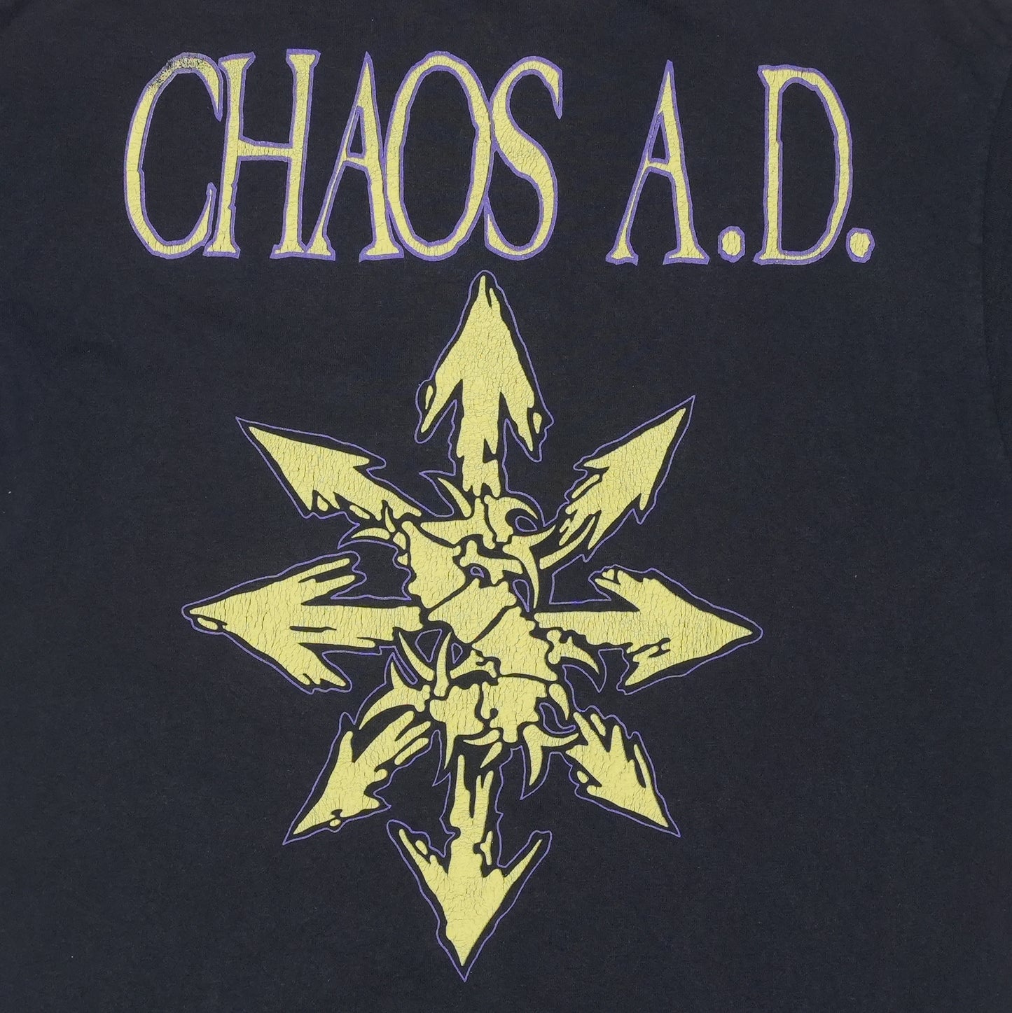 1993 Sepultura Chaos A.D. Shirt Detail
