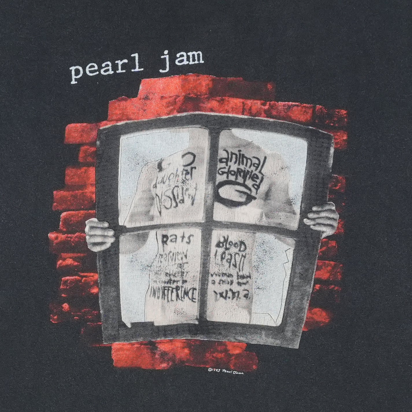 1993 Pearl Jam Window Pain Tour Shirt Detail