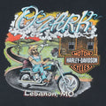 2000 Harley Davidson Ozarks Shirt Detail